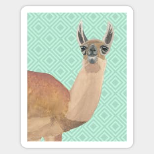 Llama Against Green Diamonds Background Sticker